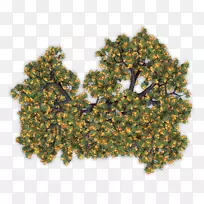 ����-������