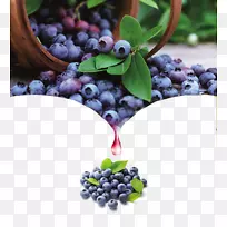 À¶Ý®¹ûʵ¿¹Ñõ»¯¼ÁÀ¶Ý®¾Æº£±¨-¿ÕÈôÍø À¶Ý®¹ûʵ¿¹Ñõ»¯¼ÁÀ¶Ý®¾Æº£±¨-¿ÕÈôÍø