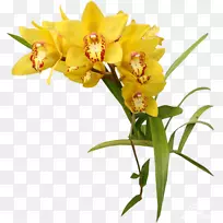 剪花博客桌面壁纸夹艺术-花-空若网 剪花博客桌面壁纸夹艺术-花-空若网