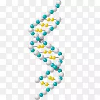 实验室科学剪贴画-科学-空若网 实验室科学剪贴画-科学-空若网