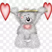 讯息动画-空若网 讯息动画-空若网