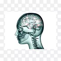 ����Ԫ��������ϵͳ����-������