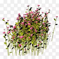 花卉设计花盆植物剪贴画-花-空若网 花卉设计花盆植物剪贴画-花-空若网