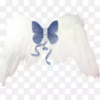 天使翅膀-天使翅膀-空若网 天使翅膀-天使翅膀-空若网