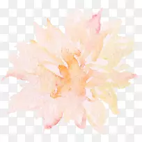 下载水彩画剪贴画手绘水彩画菊花-空若网 下载水彩画剪贴画手绘水彩画菊花-空若网