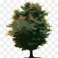 cdr��-������