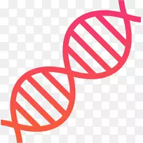 DNA�Ŵ�ѧ����ѧ��ѧ-������