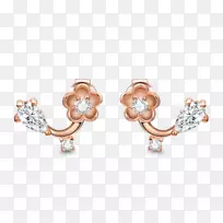 �������鱦��ʯ���ӻƽ�Ψ���һ�-������