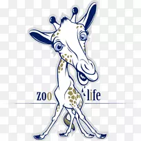 ��������¹��ֽ�ʼǱ����Աڹһ�����¹-������