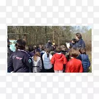 休闲青年树-空若网 休闲青年树-空若网