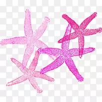 ���Ǽ�����-����-������