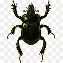 ��׳�-������