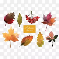 ��Ҷ��ˮ�ʻ�-�����-������