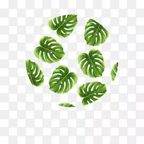 Ҷ����-Ҷ-������