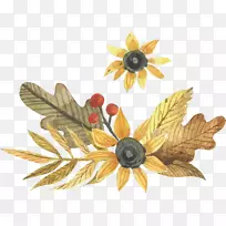 Adobe插画-水彩秋叶-空若网 Adobe插画-水彩秋叶-空若网