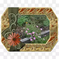 文字动画博客谷歌图片-空若网 文字动画博客谷歌图片-空若网