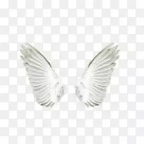 ��ʹ����-��ɫ��ʹ���-������