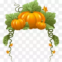 ÄϹÏÌÙÊß²Ë-ÄϹÏ-¿ÕÈôÍø ÄϹÏÌÙÊß²Ë-ÄϹÏ-¿ÕÈôÍø