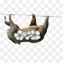 动物下巴-空若网 动物下巴-空若网