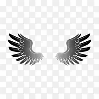 鹰翼剪贴画-翅膀剪贴画-空若网 鹰翼剪贴画-翅膀剪贴画-空若网