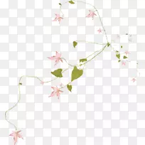 ������-��-������