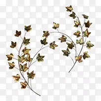 Сֲ֦�ﾥҶ����ֲ��Ҷ-������