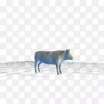 ţ-Ұ���������-������