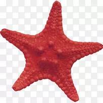 ���ǲ�������ѹ��-����-������