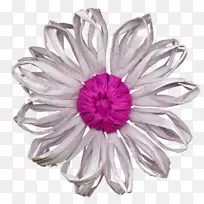 花瓣身饰-空若网 花瓣身饰-空若网