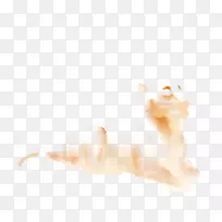 �����ֽ��ָ������д�������-������