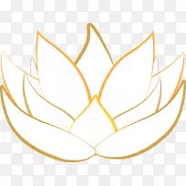 ��������������������-������