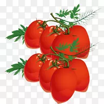 ����֭����ӣ�ҷ��ѹ�ľ����С��������-������