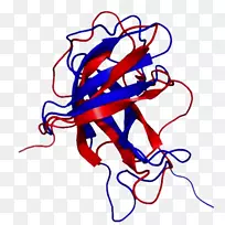 �ߵ�������������-������