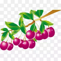 �¸���˹����������ͼ��-ӣ��-������