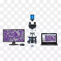 显微镜摄像机c安装hdmi高清视频显微镜-空若网 显微镜摄像机c安装hdmi高清视频显微镜-空若网