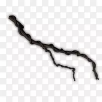 藤本植物-空若网 藤本植物-空若网