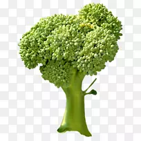 西兰花蔬菜-空若网 西兰花蔬菜-空若网