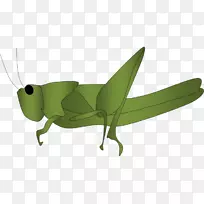 蚂蚁和蝗虫剪贴画-蚱蜢-空若网 蚂蚁和蝗虫剪贴画-蚱蜢-空若网