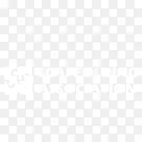 联合国大学计算机与社会学会电子邮件营销-空若网 联合国大学计算机与社会学会电子邮件营销-空若网