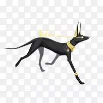 古埃及阿努比包巴斯托犬-阿努比斯-空若网 古埃及阿努比包巴斯托犬-阿努比斯-空若网