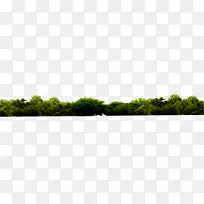 ��������Ⱥ������-������