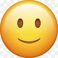 �������iphone������ű��˶���-�������-������