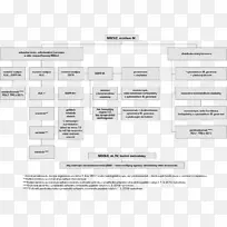 立体定向放射治疗辅助治疗手术-空若网 立体定向放射治疗辅助治疗手术-空若网