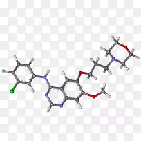 ���������Ƥ������������-������