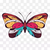 帝王蝴蝶昆虫彩绘蝴蝶-空若网 帝王蝴蝶昆虫彩绘蝴蝶-空若网