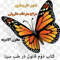 ���������������ͼ��-����-������