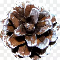 树-树-空若网 树-树-空若网