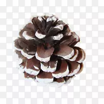 ����Ҷ׶��ɼ������-������