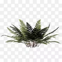 ����������-������