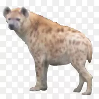 谷歌玩鬣狗安卓-鬣狗-空若网 谷歌玩鬣狗安卓-鬣狗-空若网